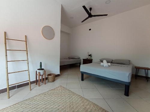 3B Wellness Hostel image 13