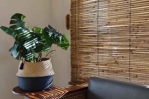 3B Wellness Hostel image 4